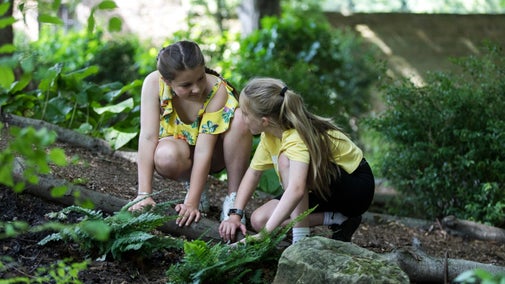 Two young girls in yellow t-shirts exploring woodland at Ormesby Hall, Yorkshire